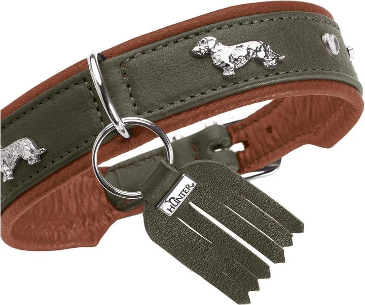 Immagine prodotto Hunter Collare bassotto Monaco 42/S, pelle di vacchetta, verde/cognac (42, Cane, Generale)