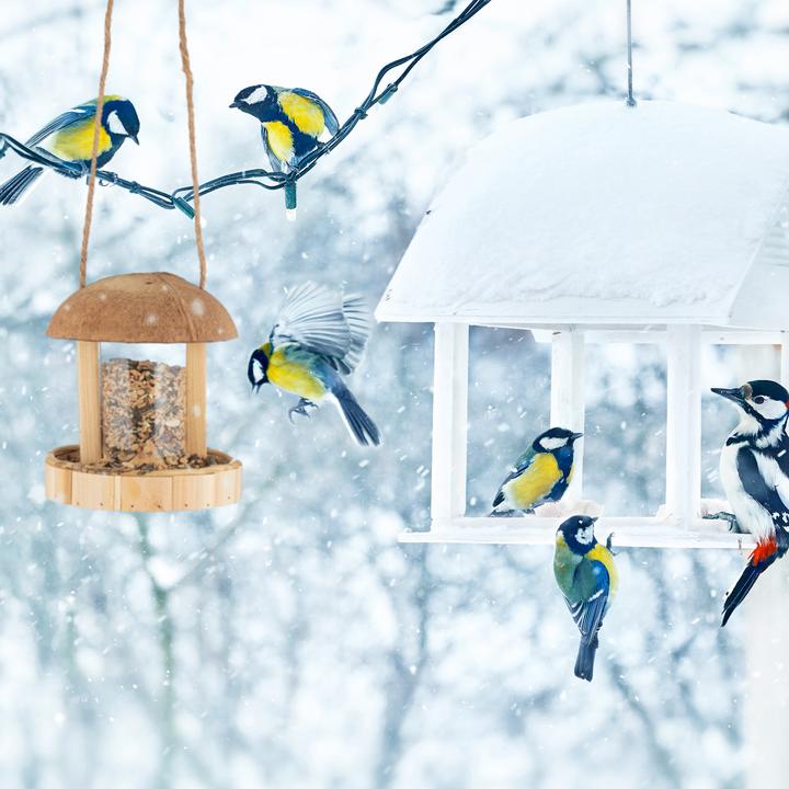 Actual product image Relaxdays Bird Feeder