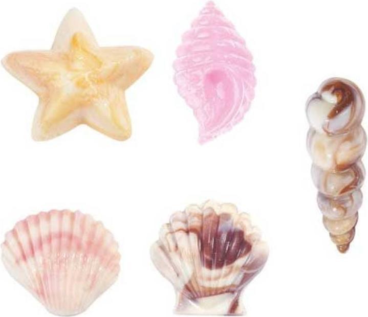 Produktbild Wilton Seashells