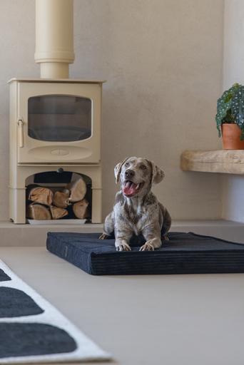 Image du produit Designed by Lotte Coussin pour cage Orthopaed Ribbed (Chien)