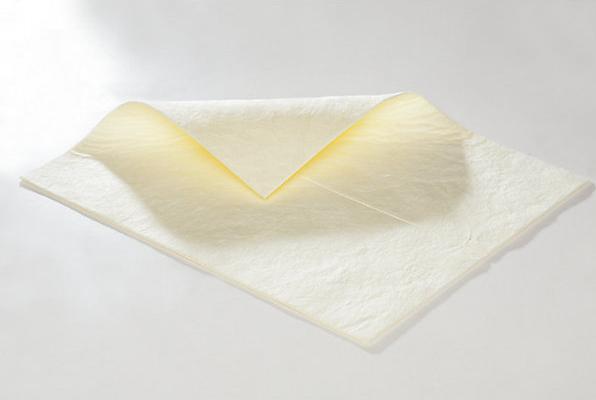Produktbild kaiserkraft FIRST Bindevlies für Chemikalien (100 Stk.)