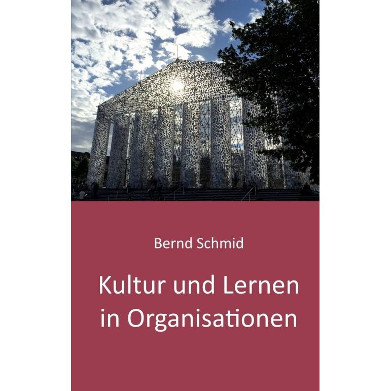 Kultur und Lernen in Organisationen, Fachbücher von Bernd Schmid