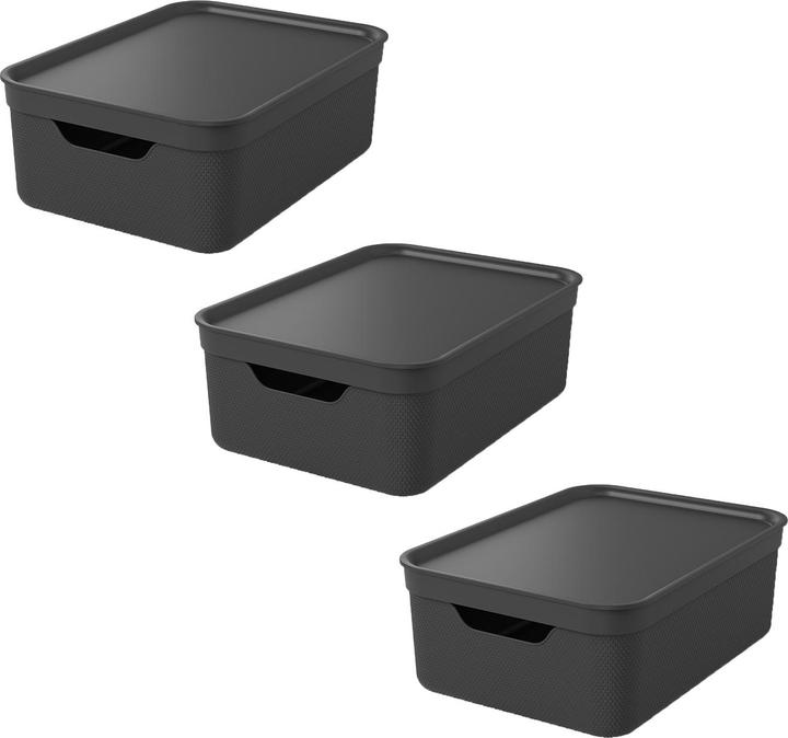 Immagine prodotto Rotho Jive (36,5 x 26,5 x 13 cm, 10 l)