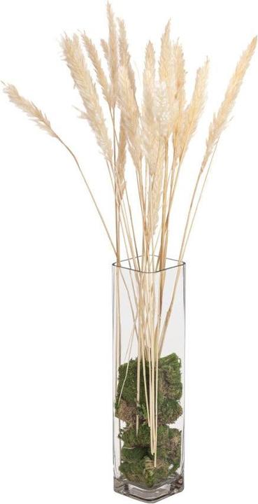 Jolipa Botte d'herbe de la Pampa, séchée, naturelle, 75cm (Herbe de la pampa)