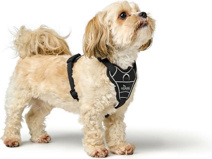 Immagine prodotto Hunter Divo Up (L, Cane, Generale)
