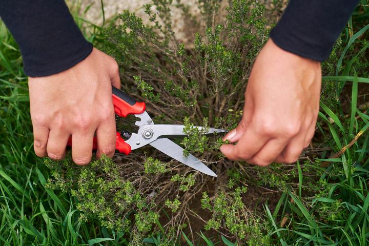 Produktbild Felco 456 Universalschere