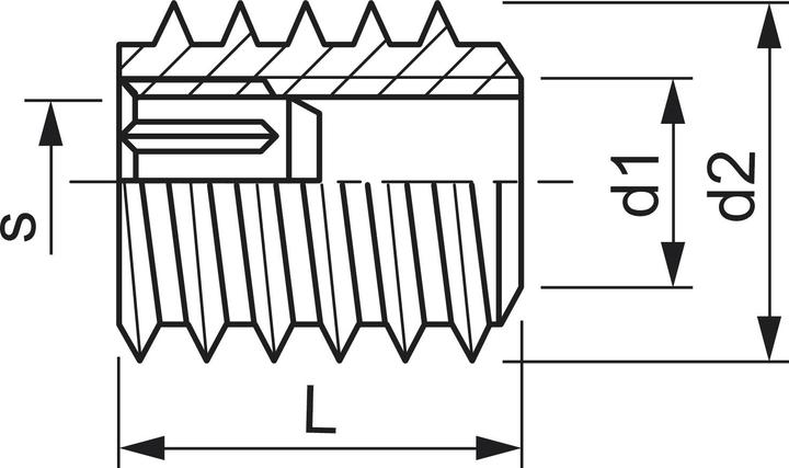 Produktbild Rampa Einschraubmuffe TYP SK M 8x 30 AD: 16 verzinkt mit Innensechskant
