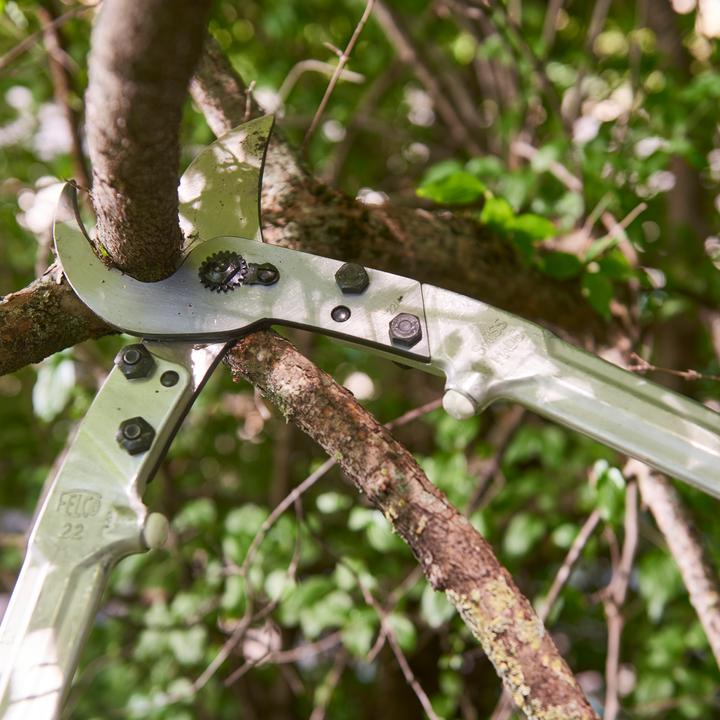 Produktbild Felco 22 Bypass Astschere