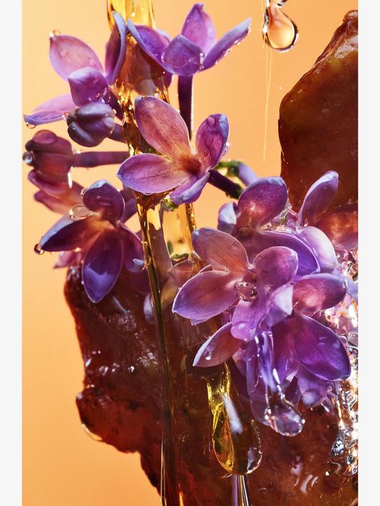 Immagine prodotto Bulgari Allegra Rock'n'Rome (Eau de parfum, 100 ml)