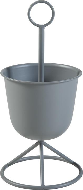 Gris