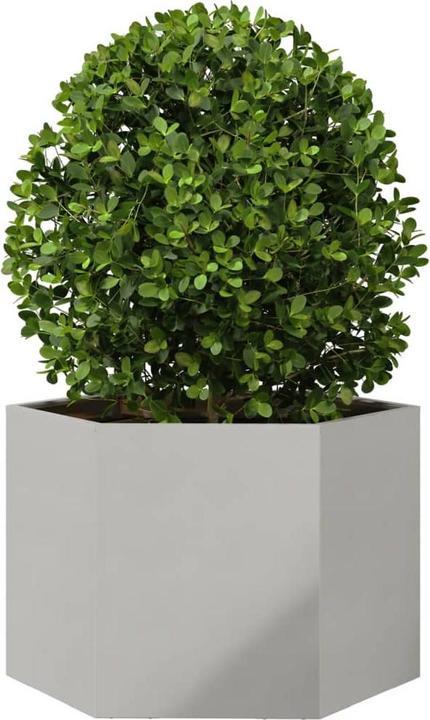 Produktbild vidaXL Pflanzkübel