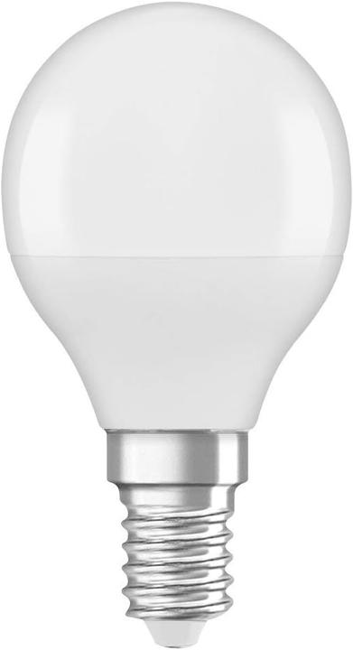Productafbeelding Osram Ster Klassieker P (E14, 40 W, 470 lm, 1 x, F)