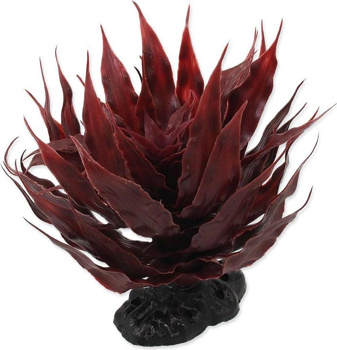 Repti Planet Sukulent Agave Red, 18 cm