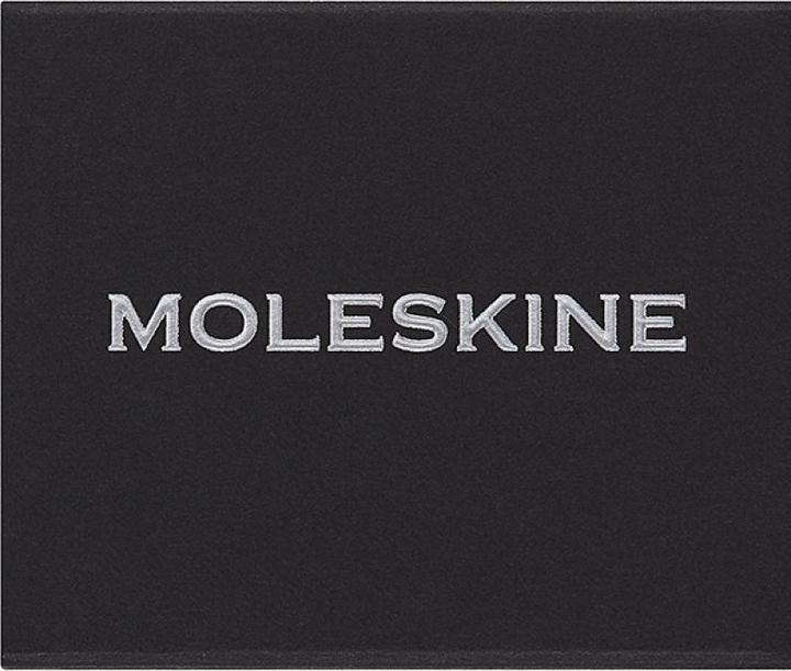 Actual product image Moleskine Pins Libra Silver (No binding)