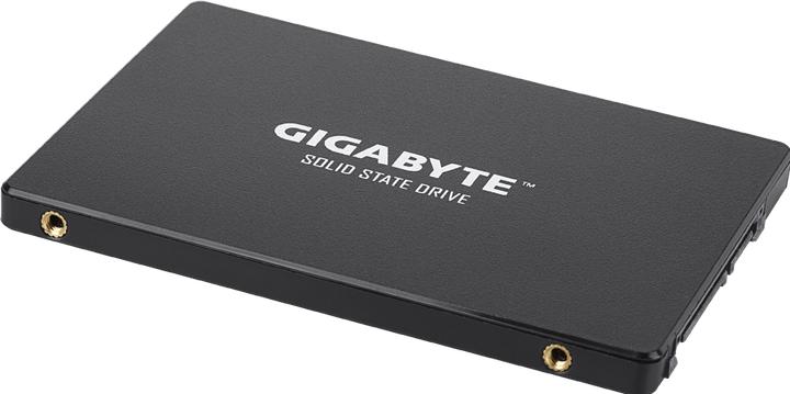 Productafbeelding Gigabyte GP-GSTFS31256GTND (256 GB, 2.5")