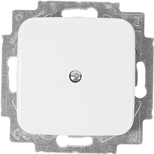 Immagine prodotto Busch-Jaeger Disco centrale cieco