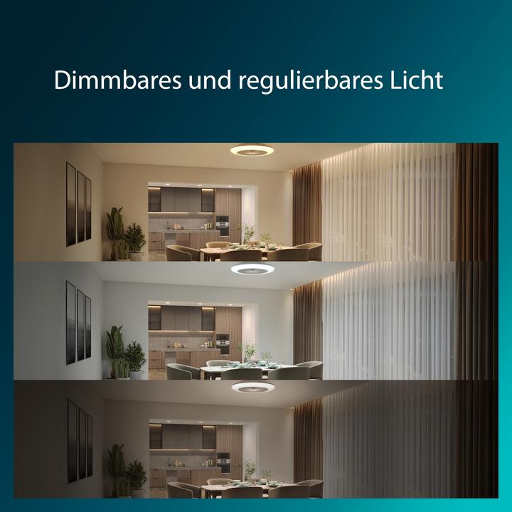 Actual product image Signify Philips Amigo (6500 lm)