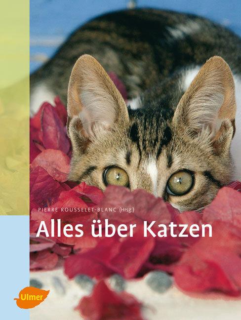 Produktbild Alles über Katzen (Deutsch, Claudia Händel, Pierre Rousselet-Blanc, 2008)