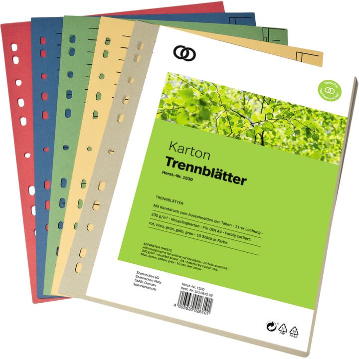 Actual product image Soennecken Divider sheet oeco 1530 A4 230g assorted 50pcs.