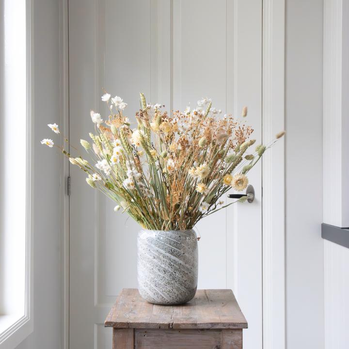 Immagine prodotto Plant in a Box Tarwe, Rhodanthe, Helichrysum, Lagarus, Bupleurum, Phalaris. (55 cm)