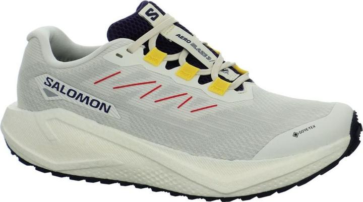 Image du produit Salomon Aero Blaze 3 GTX (46 2/3)