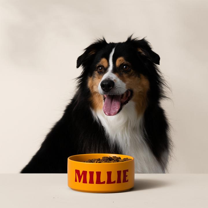 Produktbild Cricut Joy Xtra