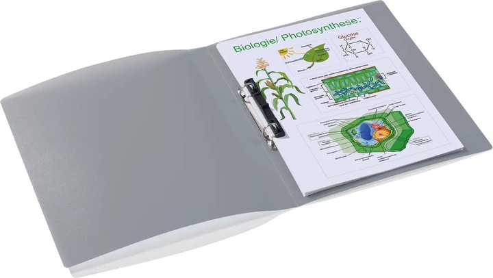Actual product image Herma A4 ring binder translucent (A4, 25 mm, 1 x)