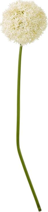 Actual product image Hill Interiors Allium Stem Artificial Plant