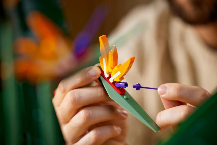 Actual product image LEGO Bird of Paradise (10289, LEGO Rare Sets)