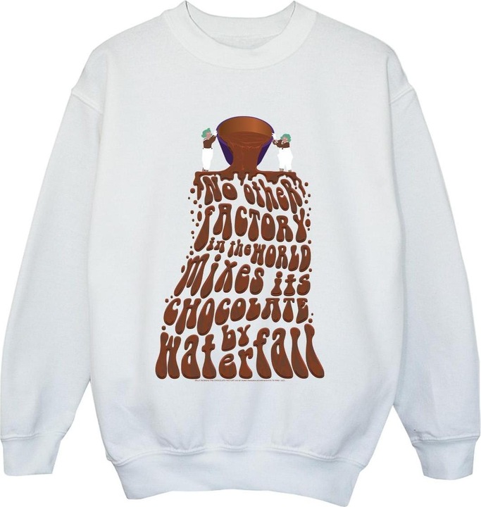 Image du produit Willy Wonka & the Chocolate Factory - Sweat CHOCOLATE WATERFALL - Garçon (128)