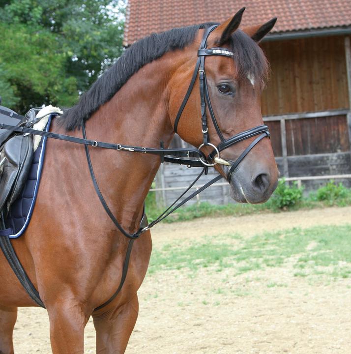 Actual product image Kerbl Thiedemann reins
