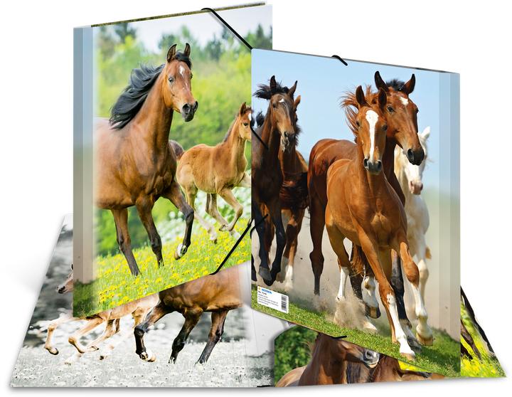 Produktbild HERMA Sammelmappe A4 Motiv (A4, 1x)