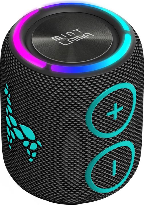 Actual product image Mint Lama Lamabeat 2 (6 h)