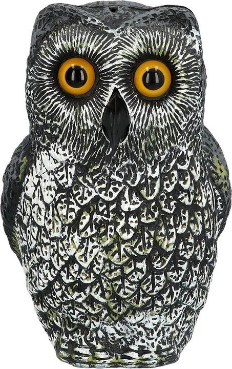 Immagine prodotto Boland Ornament Eule:15 x 15 x 23 cm (1 Pezzo/i)