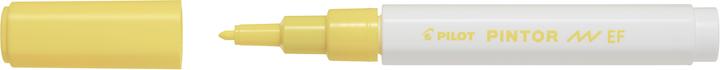 Image du produit Pilot Pintor Extra Fine