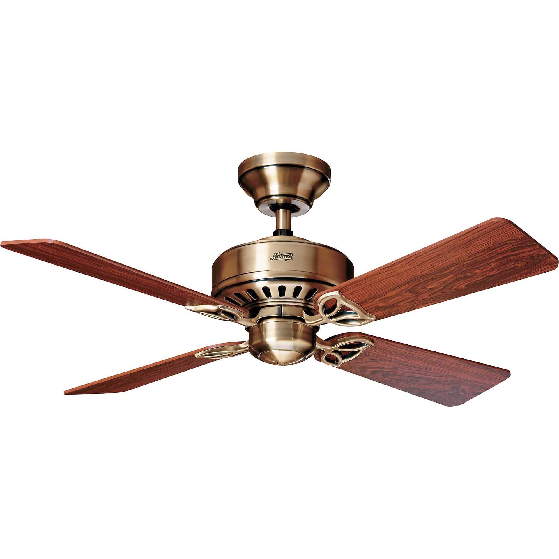 Hunter Fans Bayport, Ventilator, Braun