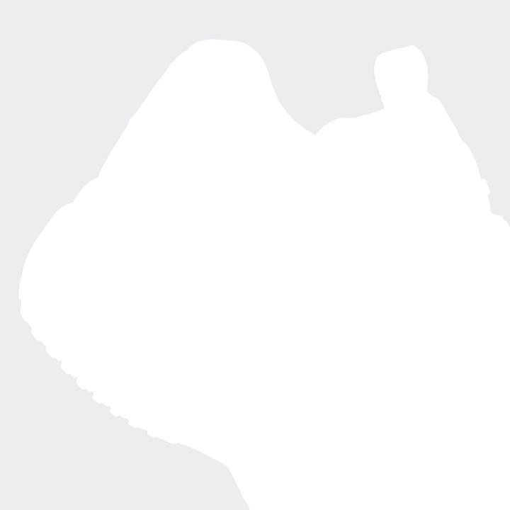 Produktbild Adidas Crazyflight 6 M (44)