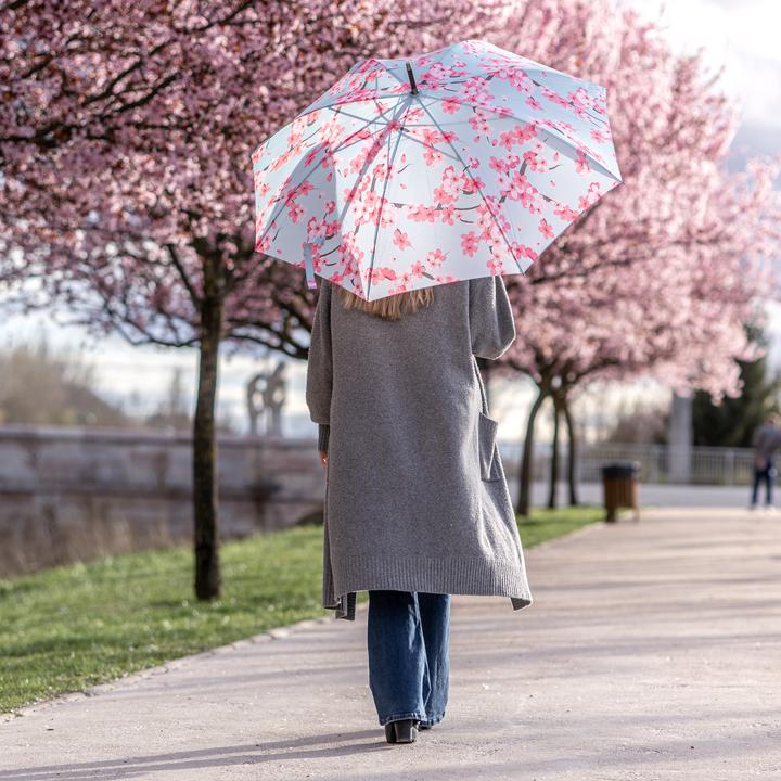 Image du produit Fisura Sakura