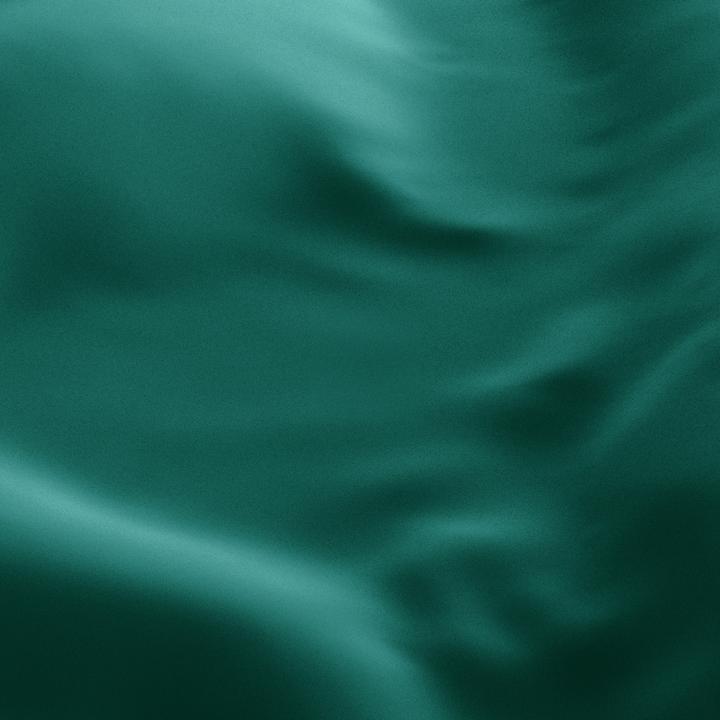 Image du produit Lotus Bettwaren Satin uni (Taie d'oreiller, 50 x 70 cm)