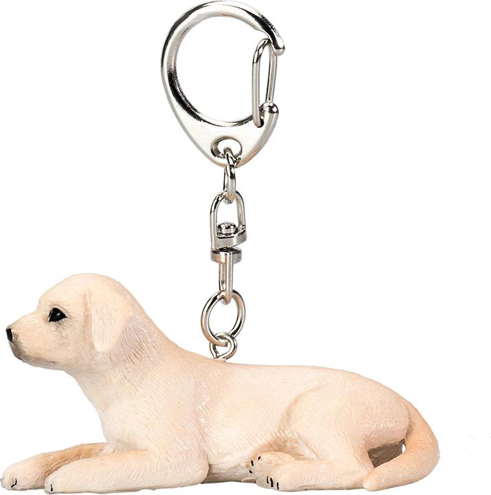 Actual product image Labrador