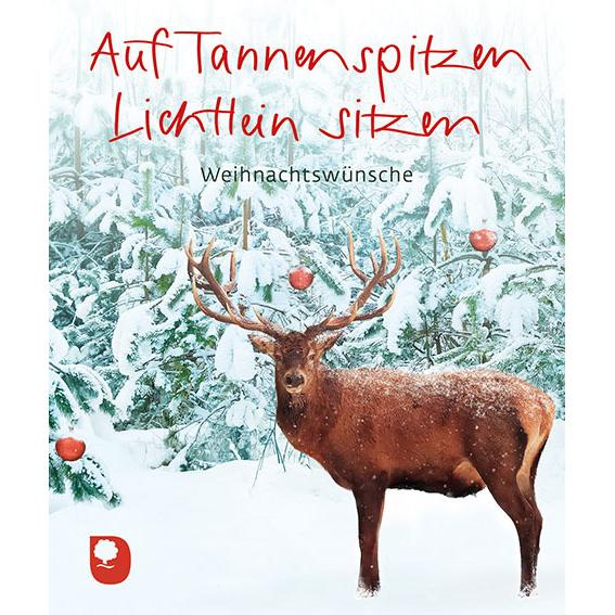 Auf Tannenspitzen Lichtlein sitzen, Sachbücher