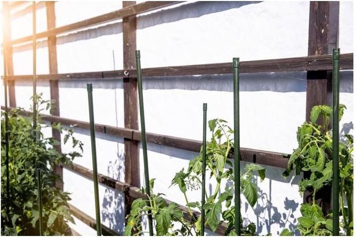 Immagine prodotto Windhager Asta della pianta (180 cm, 1.60 cm)