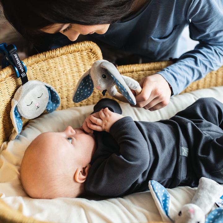 Image du produit Whisbear Le lapin bourdonnant avec un clip