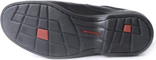 Image du produit Anatomic Americana (40)