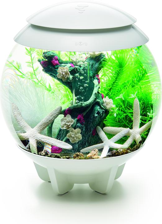 Immagine prodotto Oase biOrb Aquarium 15 Set di Decori (Decorazione, Piante)