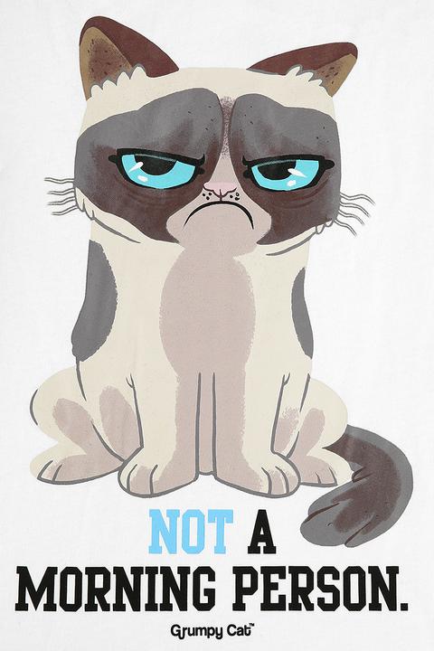 Produktbild Grumpy Cat Not A Morning Person! (XXL)