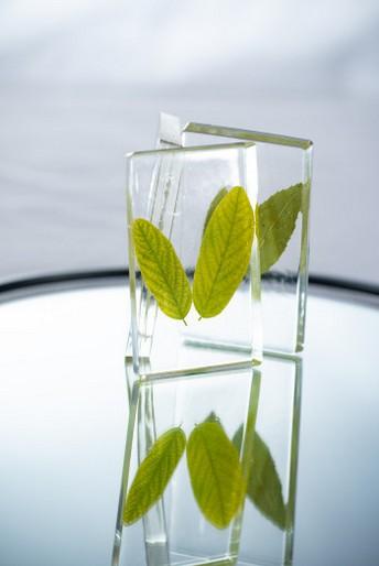 Image du produit Pebeo Résine de coulée Bio (45 ml)