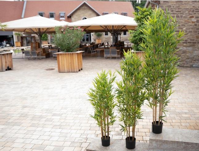 Produktbild Europalms Bambus Deluxe (180 cm)