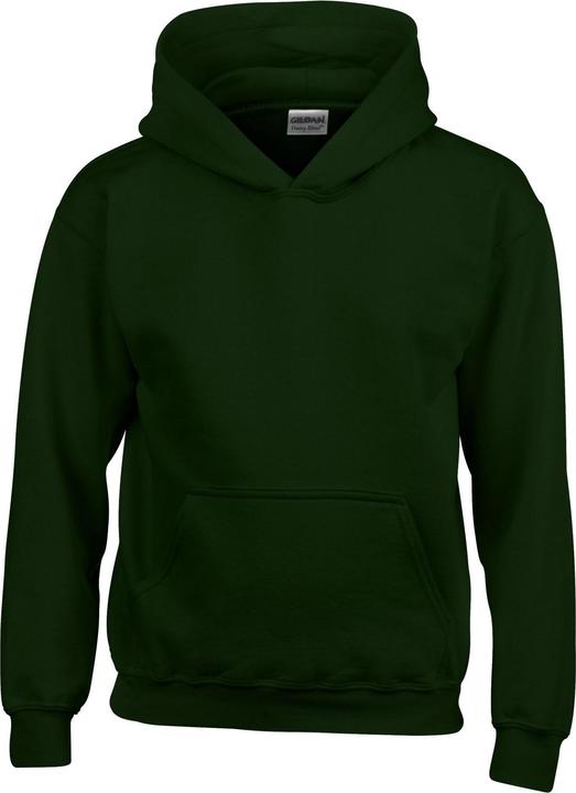 Actual product image Gildan Childrens/Kids Heavy Blend Hooded Sweatshirt (104)
