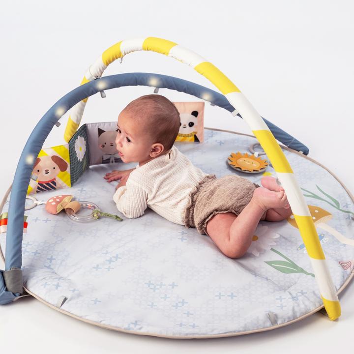 Image du produit Taf Toys Melody Bloom